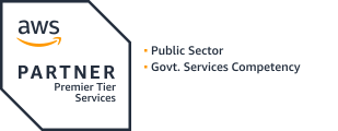 public sector and goverment services