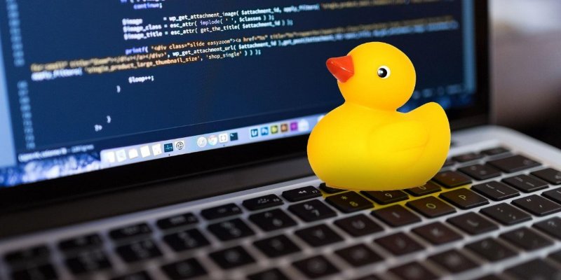 Rubber duck sitting on keyboard