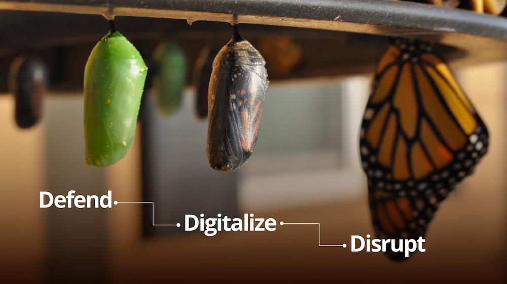 picture of a transforming pupa to a butterfly with the words digitalize, defend, disrupt at each of the three stages