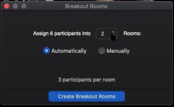 What speedback is and how to run it using zoom breakout rooms